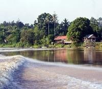 Kinabatangan River